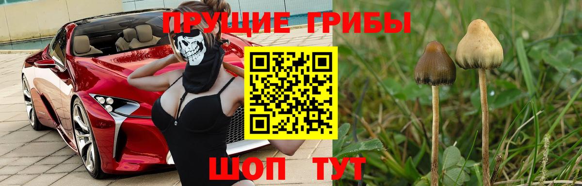 Псилоцибиновые грибы прущие грибы Ейск
